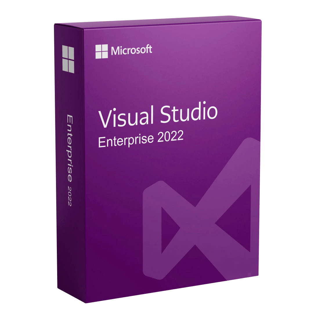 Visual Studio 2022 Enterprise [2PC] Product Key Image