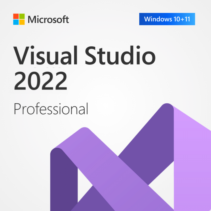 Visual Studio 2022 Professional [5PC] Product Key Image